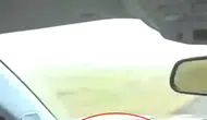 Diyarbakır'daki feci kazanın hız göstergesi dehşete düşürdü