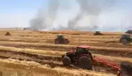 Viranşehirde anız yangını çiftçinin emeğini yaktı