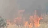 Çermik’te alevler evlere ulaşmadan söndürüldü