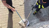 Siirt'te bahçeye giren 1,5 metrelik yılan paniğe neden oldu?