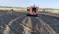Kızıltepe'de hasat öncesi büyük yangın