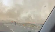 Mardin'de anız yangınları tarım arazilerini küle çevirdi
