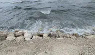 Van Gölü kıyılarında rüzgarla yükselen dev dalgalar izleyenleri etkiledi