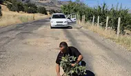 Çermik yolundaki derin çukurlara tepki olarak ağaç diktiler