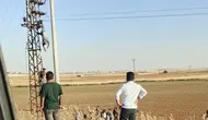 Şanlıurfa'da elektrik direğinde can pazarı yaşandı