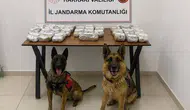 Şemdinli yolunda zehir tacirlerine jandarma operasyonu