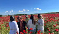 Elazığ yolunda kırmızı bir manzara şöleni başladı