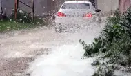 Erciş’te polenler kabus oldu