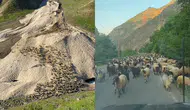 Hakkari’de yayla göçü yağış engeline takıldı