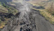 Bitlis dağlarında hayvancılık geleneği tozlu yollarla sürüyor