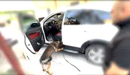Batman polisinden narkotik köpeği Mailo ile başarılı operasyon