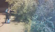 Başkale ilçesindeki bir bahçede çıkan yangın paniğe yol açtı