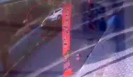 Şanlıurfa Birecik’te kontrolden çıkan araç ağaca çarparak durabildi