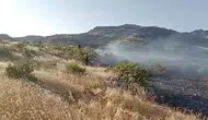 Dicle kırsalında kontrol altına alınmaya çalışılan alevler paniğe neden oldu?