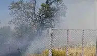 Kurtalan ilçesinde bir bahçede çıkan yangın meyve ağaçlarını yaktı