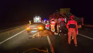 Bingöl yolunda otomobil ile inekler çarpıştı