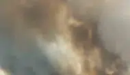 Nusaybin yolunda anız yangını nedeniyle görüşü kapanan tır bariyerlere girdi