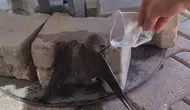 Elazığda sıcaklardan bitkin düşen ebabil kuşu bir vatandaşın yardımıyla kurtuldu
