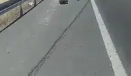 Elazığ Bingöl kara yolunda otomobil traktöre çarptı