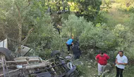 Bingöl Yayladere yolunda kamyonet uçuruma devrildi