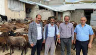 Ağrılı hayvancılara yarı fiyatına süt sağım ve kırkım desteği geldi