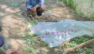 Hakkari Derecik’te kayıp olarak aranan Şevket İzci’den acı haber geldi