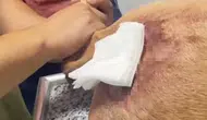 Şırnakta kaçak avcılık yapan kişiye rekor para cezası kesildi