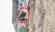 Hakkari Cilo Dağı’nda kaybolan dağcının acı sonu havadan görüntülendi