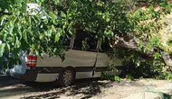 Çukurca'da park halindeki minibüs ağaç altında kalarak büyük hasar gördü