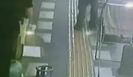 Kızıltepe'de iş yeri önündeki papağan böyle çalındı