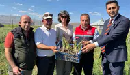 Yüksekova toprağında salep bereketi ilk ticari hasatla yüzleri güldürdü
