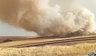 Mazıdağı kırsalındaki tarım arazisinde yangın paniği yaşanıyor