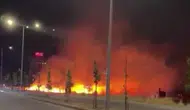 Kayapınar ilçesindeki otluk alanda çıkan yangın korku dolu anlar yaşattı