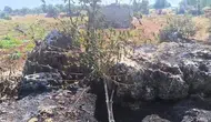 Diyarbakır Dicle kırsalında çıkan yangın meyve bahçelerine büyük zarar verdi