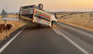 Siverek yolunda devrilen kamyonet trafiği kilitledi