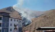 Keban ilçesindeki Nimri Dağı alevlere teslim oldu