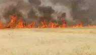 Şanlıurfa Haliliye ilçesinde büyük buğday yangını