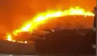 Diyarbakır Kayapınar’da çıkan ot yangını mahalle sakinlerine korku dolu anlar yaşattı