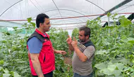 Suruç Ovasında su bereketi mevsimlik işçiliği tarihe gömdü