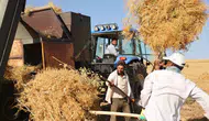 Diyarbakırlı çiftçiler kavurucu sıcak altında mesai yapıyor