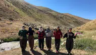 Hakkari yaylalarında ter döken berivanlar bakanlıktan gölgelik bekliyor
