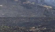 Siirt Akyamaç köyünde çıkan yangın mera alanını küle çevirdi