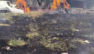 Siirt Kurtalan'da bahçe yangını ekiplerin müdahalesiyle büyümeden kontrol altına alındı