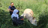 Yüksekova'da tek geçim kaynağını kaybeden aileye yardım eli uzandı