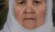 Bitlis Tatvan'da yük treni raydan geçen yaşlı kadına çarptı