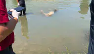 Diyarbakır Bağıvar Köprüsü yakınlarında Dicle Nehri içinde bir erkek cesedi keşfedildi
