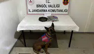 Bingöl jandarmasından firari suçlulara yönelik operasyon