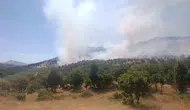 Diyarbakır Çüngüş ilçesindeki ağaçlık alanda yangın paniği yaşanıyor
