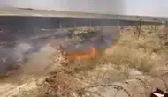 Nusaybin kırsalındaki anız yangını ekipleri harekete geçirdi
