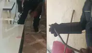 Hakkari’de bir evin içine giren yılan ev sakinlerini korkuttu